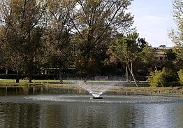 Golf Negralejo | Golf i Madrid