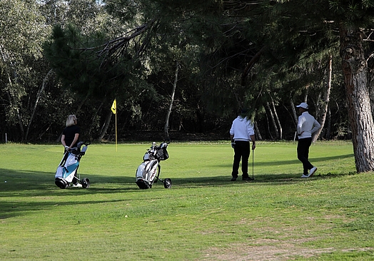 Golf Negralejo | Golf i Madrid