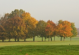 Bokskogens Golfklubb
