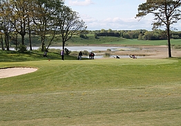 Hvalpsund Golf Club