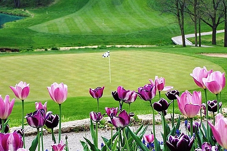 Golf i Holland