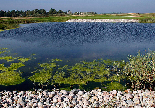 Enjoy Resorts Rømø