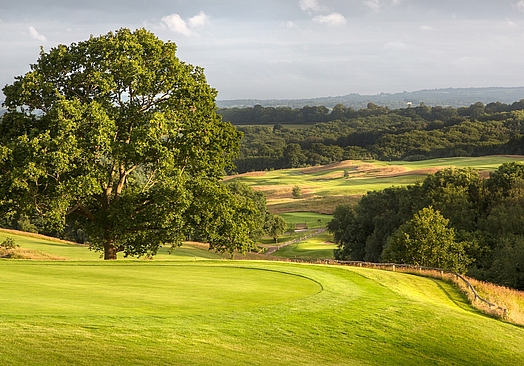 Dale Hill Golf Resort