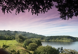 Tulfarris Hotel & Golf Resort Blessington | Golf i Irland