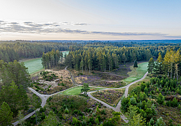 Holstebro Golfklub - Skovbanen Råsted