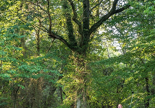 Rø Golfbaner | Golf på Bornholm