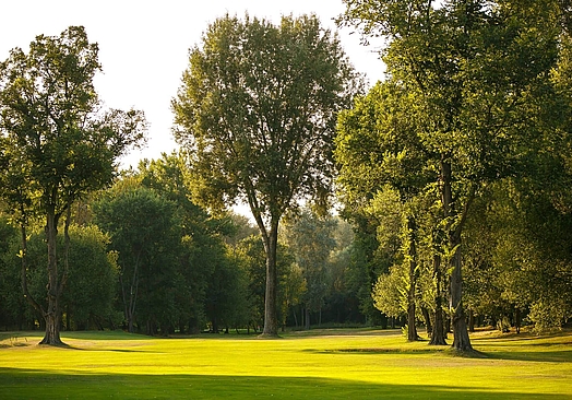 First Warsaw Golf | Golf i Polen