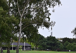 Sct. Knuds Golfklub | Golf på Fyn