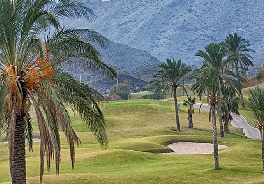 Aguilón Golf