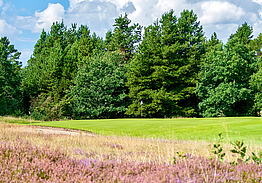 Holstebro Golfklub - Skovbanen Råsted