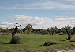 Club de Golf Olivar de la Hinojosa | Golf i Madrid