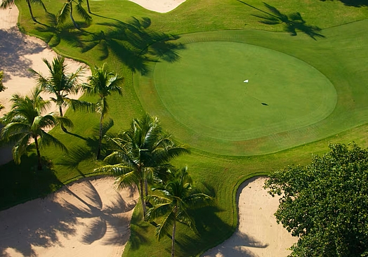 Paradisus Palma Real Golf & Spa Resort