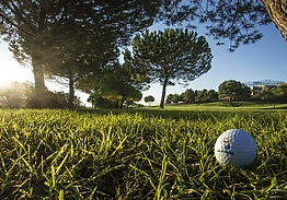Alenda Golf - Costa Blanca