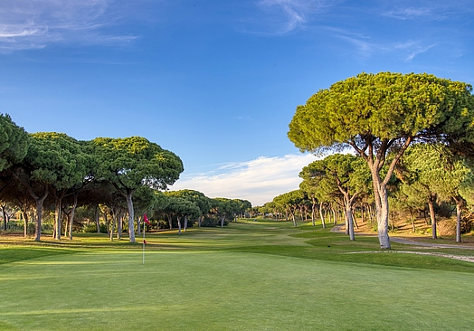 Millennium Vilamoura | Golf i Algarve