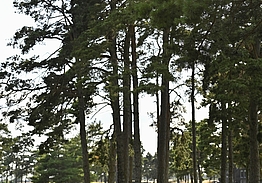 Kristianstads Golfklubb & Destination