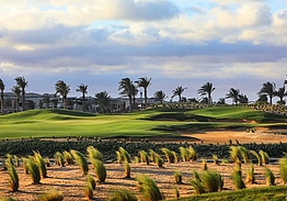 NEWGIZA Golf Club | Golf i Cairo
