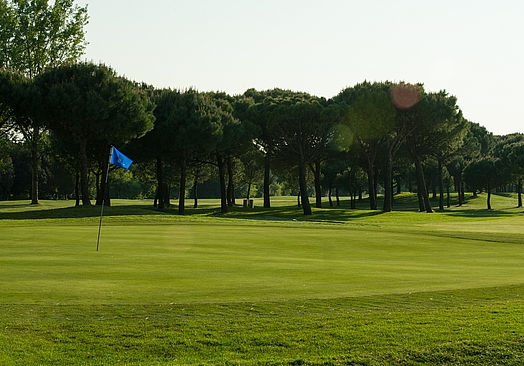 Adriatic Golf Club Cervia | Golf i Emilia Romagna