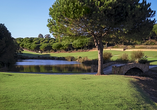 SO/ Sotogrande | The Alto Golf Club