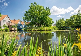 BEECH Resort Fleesensee