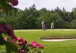 Vejen Golfklub