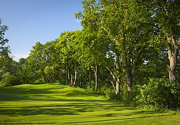 Modry Las Golf Resort | Ori Las