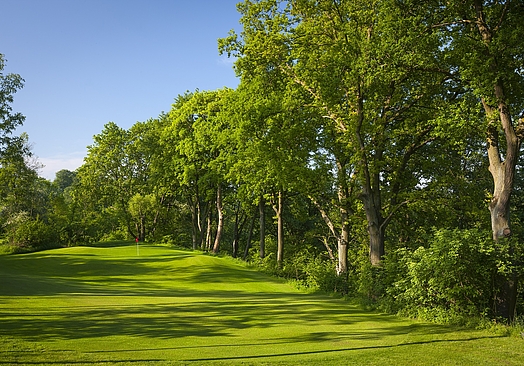 Modry Las Golf Resort | Ori Las