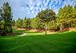 Chaparral Golf Club