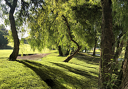 Añoreta Golf Resort