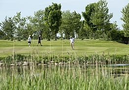 Halsted Kloster Golfklub