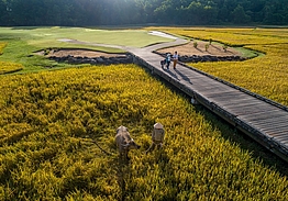 Laguna Golf Lang Co