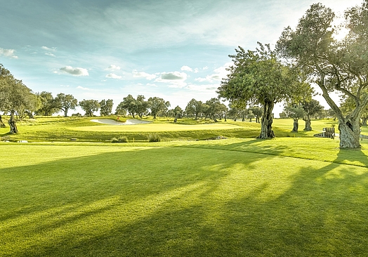 Robinson Quinta da Ria