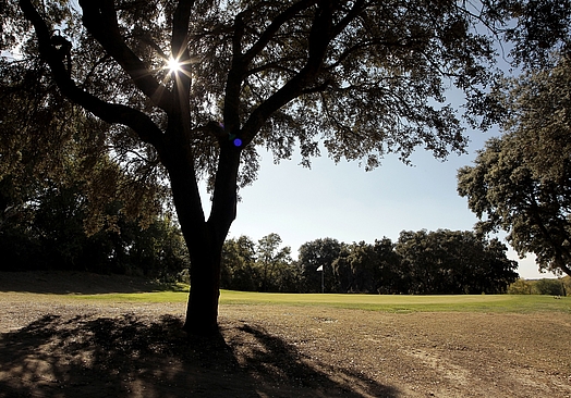 Club de Golf El Robledal | Golf i Madrid
