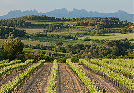 Barcelona Golf Resort Dolce by Wyndham