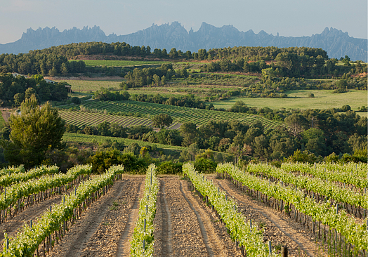 Barcelona Golf Resort Dolce by Wyndham