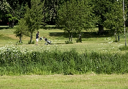 Halsted Kloster Golfklub