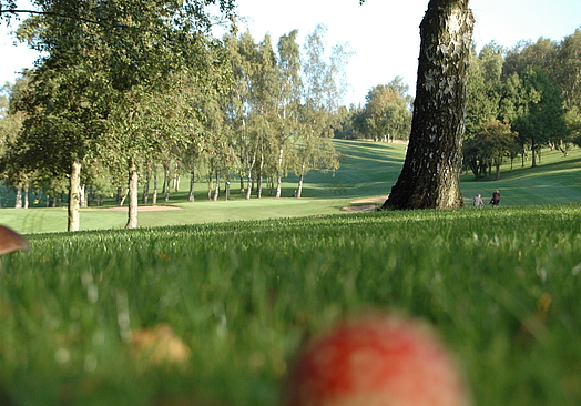Svendborg Golf Klub