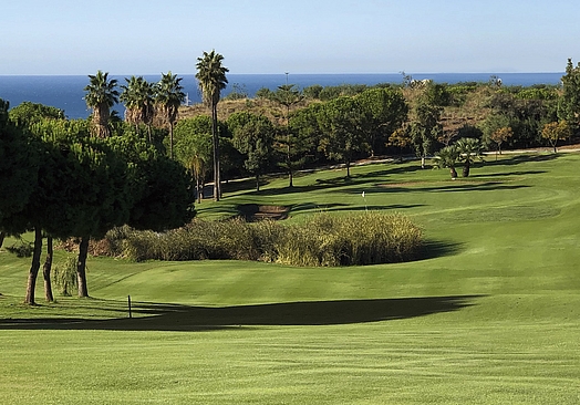 Añoreta Golf Resort