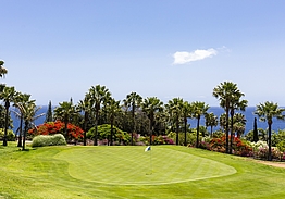 Hotel Jardín Tecina & Tecina Golf