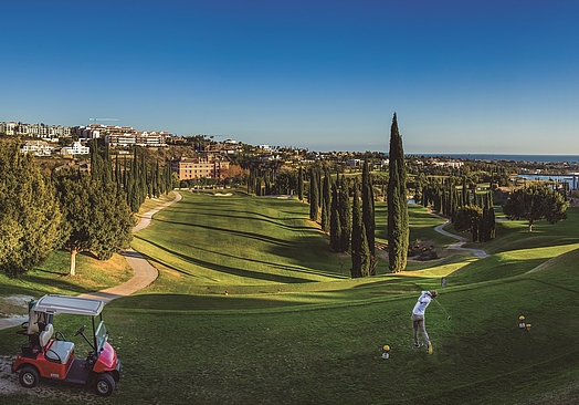 Villa Padierna Golf Club | Flamingos