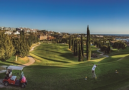 Villa Padierna Golf Club | Flamingos