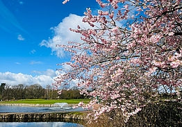 Treudelberg Resort Hamburg
