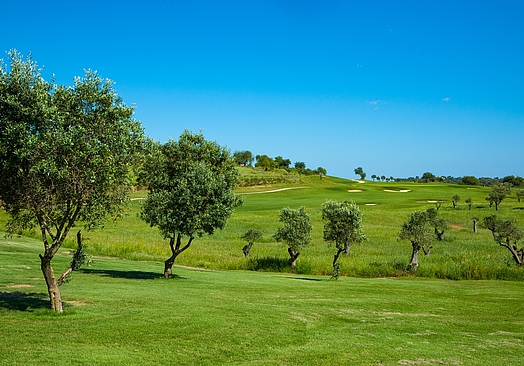 NAU Morgado Golf & Country Club | Morgado Golf Course