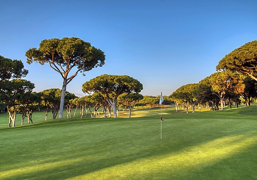 Old Course Vilamoura | Golf i Algarve