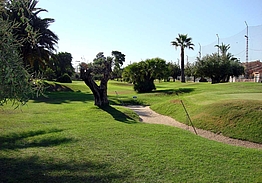 Club de Golf Torre Pacheco | Golf i Murcia