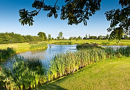 Roganstown Hotel & Country Club | Golf i Dublin