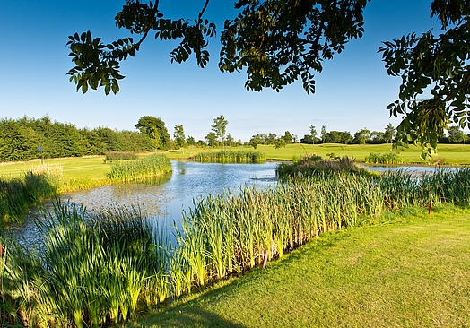 Roganstown Hotel & Country Club | Golf i Dublin
