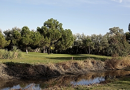 Golf Negralejo | Golf i Madrid