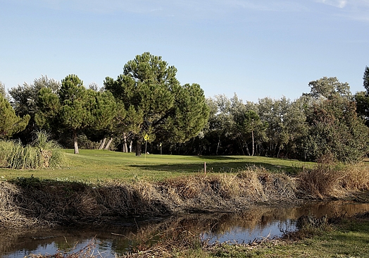 Golf Negralejo | Golf i Madrid