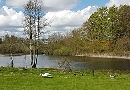 Faaborg Golfklub | Golf på Fyn