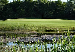 Husumer Bucht Golf Club